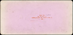 [Group of 55 Stereograph Views of Groups of Children], Comic Series, Albumen silver prints