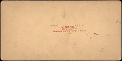[Group of 55 Stereograph Views of Groups of Children], Comic Series, Albumen silver prints