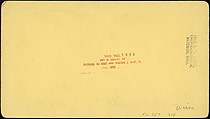 [Group of 55 Stereograph Views of Groups of Children], Comic Series, Albumen silver prints