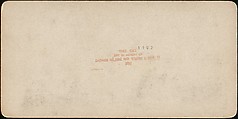 [Group of 55 Stereograph Views of Groups of Children], Comic Series, Albumen silver prints