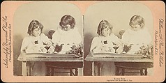 [Group of 55 Stereograph Views of Groups of Children], Comic Series, Albumen silver prints