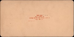 [Group of 55 Stereograph Views of Groups of Children], Comic Series, Albumen silver prints