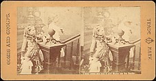 [Group of 55 Stereograph Views of Groups of Children], Comic Series, Albumen silver prints