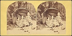 [Group of 55 Stereograph Views of Groups of Children], Comic Series, Albumen silver prints