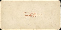 [Group of 21 Stereograph Views of China], Kilburn Brothers (American, active ca. 1865–1890), Albumen silver prints
