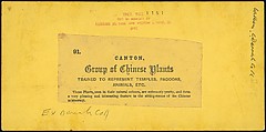 [Group of 21 Stereograph Views of China], Kilburn Brothers (American, active ca. 1865–1890), Albumen silver prints