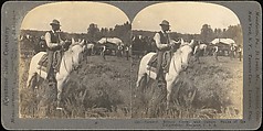 [Group of 11 Stereograph Views of Cowboys], European and American Views, Albumen silver prints