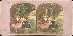 [Group of 42 Stereograph Views From the London Stereoscopic Company, 1860-1870, Many Hand-Colored to Illustrate Books], London Stereoscopic Company (British), Albumen silver prints