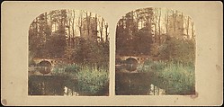 [Group of 250 Stereograph Views From the London Stereoscopic Company, 1860-1870, Many Hand-Colored to Illustrate Books], London Stereoscopic Company (British), Albumen silver prints