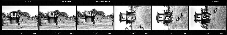 [171 Portraits of Penelope Andrews, Portraits of Walker Evans, Landscapes, and Architectural Views in Florida], Walker Evans (American, St. Louis, Missouri 1903–1975 New Haven, Connecticut), Film negative