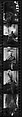 [39 Portraits of Eliza Hobson, Robert Motherwell, Helen Frankenthaler, and Others], Walker Evans (American, St. Louis, Missouri 1903–1975 New Haven, Connecticut), Film negative; Gelatin silver print