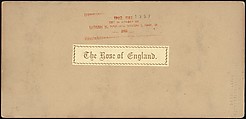 [Group of 250 Stereograph Views From the London Stereoscopic Company, 1860-1870, Many Hand-Colored to Illustrate Books], London Stereoscopic Company (British), Albumen silver prints