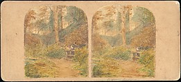 [Group of 250 Stereograph Views From the London Stereoscopic Company, 1860-1870, Many Hand-Colored to Illustrate Books], London Stereoscopic Company (British), Albumen silver prints