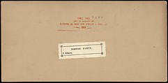 [Group of 250 Stereograph Views From the London Stereoscopic Company, 1860-1870, Many Hand-Colored to Illustrate Books], London Stereoscopic Company (British), Albumen silver prints