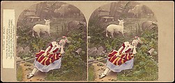 [Group of 250 Stereograph Views From the London Stereoscopic Company, 1860-1870, Many Hand-Colored to Illustrate Books], London Stereoscopic Company (British), Albumen silver prints