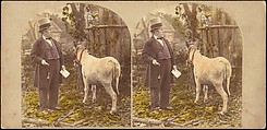 [Group of 250 Stereograph Views From the London Stereoscopic Company, 1860-1870, Many Hand-Colored to Illustrate Books], London Stereoscopic Company (British), Albumen silver prints