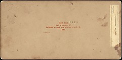 [Group of 250 Stereograph Views From the London Stereoscopic Company, 1860-1870, Many Hand-Colored to Illustrate Books], London Stereoscopic Company (British), Albumen silver prints