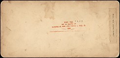 [Group of 250 Stereograph Views From the London Stereoscopic Company, 1860-1870, Many Hand-Colored to Illustrate Books], London Stereoscopic Company (British), Albumen silver prints