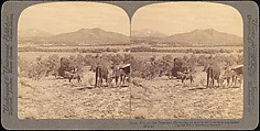 [Group of 48 Stereograph Views of Arizona and the Surrounding Area], H. C. White Company (American), Albumen silver prints