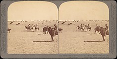 [Group of 48 Stereograph Views of Arizona and the Surrounding Area], H. C. White Company (American), Albumen silver prints