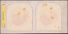 [Group of 41 Stereograph Views of Astronomy Related Scenes], Commissioned by Nautical Almanac Office (American), Albumen silver prints