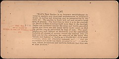 [Group of 4 Stereograph Views of Berlin Beer Gardens], Strohmeyer &amp; Wyman (American), Albumen silver prints