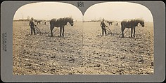[Group of 71 Stereograph Views of African-Americans and Early Black American Culture, including Colloquial Black Humor], Francis Hendricks (American, Syracuse, New York), Albumen silver prints