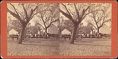 [Group of 71 Stereograph Views of African-Americans and Early Black American Culture, including Colloquial Black Humor], Francis Hendricks (American, Syracuse, New York), Albumen silver prints