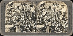 [Group of 71 Stereograph Views of African-Americans and Early Black American Culture, including Colloquial Black Humor], Francis Hendricks (American, Syracuse, New York), Albumen silver prints