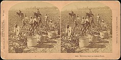 [Group of 71 Stereograph Views of African-Americans and Early Black American Culture, including Colloquial Black Humor], Francis Hendricks (American, Syracuse, New York), Albumen silver prints