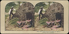 [Group of 71 Stereograph Views of African-Americans and Early Black American Culture, including Colloquial Black Humor], Francis Hendricks (American, Syracuse, New York), Albumen silver prints