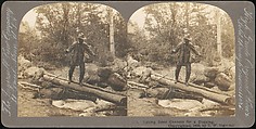 [Group of 71 Stereograph Views of African-Americans and Early Black American Culture, including Colloquial Black Humor], Francis Hendricks (American, Syracuse, New York), Albumen silver prints
