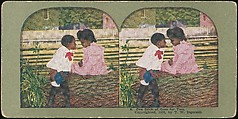 [Group of 71 Stereograph Views of African-Americans and Early Black American Culture, including Colloquial Black Humor], Francis Hendricks (American, Syracuse, New York), Albumen silver prints