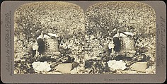 [Group of 71 Stereograph Views of African-Americans and Early Black American Culture, including Colloquial Black Humor], Francis Hendricks (American, Syracuse, New York), Albumen silver prints