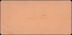 [Group of 3 Stereograph Views of Bridges and Railways at Niagara], American Scenery (American), Albumen silver prints