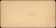 [Group of 3 Stereograph Views of Bridges and Railways at Niagara], American Scenery (American), Albumen silver prints