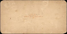 [Group of 23 Stereograph Views of Railroad Bridges], E. P. Libby (American), Albumen silver prints