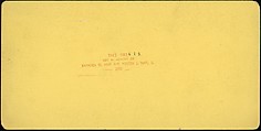 [Group of 23 Stereograph Views of Railroad Bridges], E. P. Libby (American), Albumen silver prints
