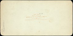 [Group of 23 Stereograph Views of Railroad Bridges], E. P. Libby (American), Albumen silver prints