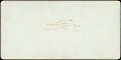 [Group of 23 Stereograph Views of Railroad Bridges], E. P. Libby (American), Albumen silver prints