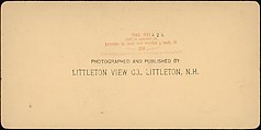[Group of 23 Stereograph Views of Railroad Bridges], E. P. Libby (American), Albumen silver prints