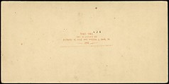 [Group of 23 Stereograph Views of Railroad Bridges], E. P. Libby (American), Albumen silver prints