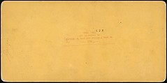 [Group of 23 Stereograph Views of Railroad Bridges], E. P. Libby (American), Albumen silver prints