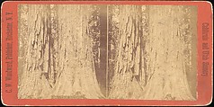 [Group of 100 Stereograph Views of California Nature and Landscapes With a Focus on Yosemite], Keystone View Company, Albumen silver prints
