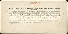 [Group of 100 Stereograph Views of California Nature and Landscapes With a Focus on Yosemite], Keystone View Company, Albumen silver prints