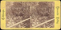 [Group of 100 Stereograph Views of California Nature and Landscapes With a Focus on Yosemite], Keystone View Company, Albumen silver prints