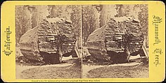 [Group of 100 Stereograph Views of California Nature and Landscapes With a Focus on Yosemite], Keystone View Company, Albumen silver prints