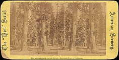 [Group of 100 Stereograph Views of California Nature and Landscapes With a Focus on Yosemite], Keystone View Company, Albumen silver prints