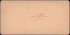[Group of 100 Stereograph Views of California Nature and Landscapes With a Focus on Yosemite], Keystone View Company, Albumen silver prints