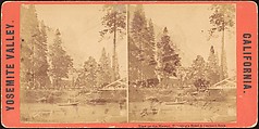 [Group of 100 Stereograph Views of California Nature and Landscapes With a Focus on Yosemite], Keystone View Company, Albumen silver prints